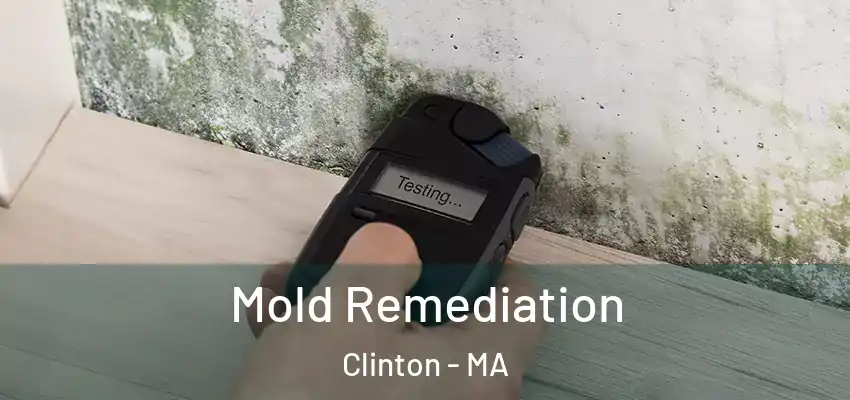 Mold Remediation Clinton - MA