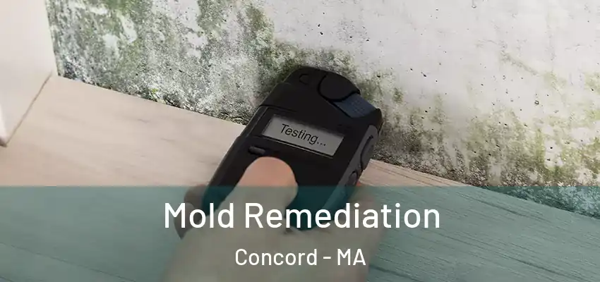 Mold Remediation Concord - MA