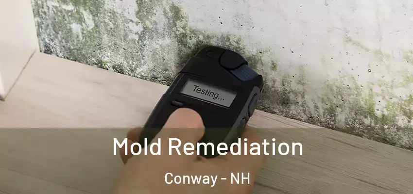 Mold Remediation Conway - NH