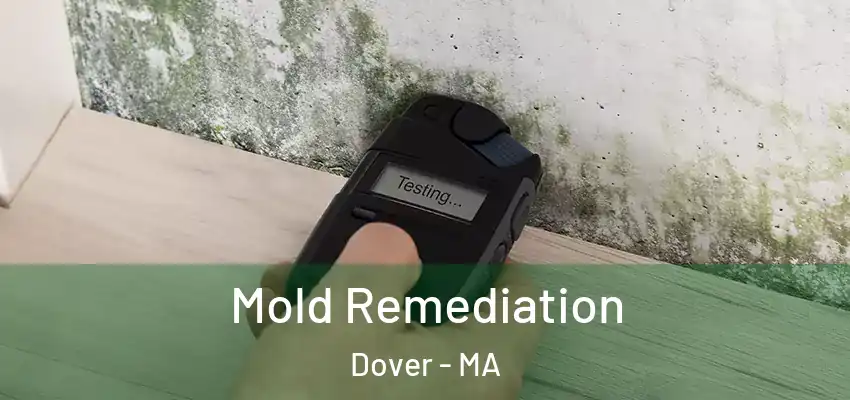 Mold Remediation Dover - MA