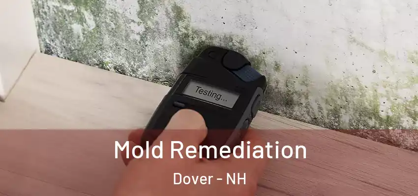 Mold Remediation Dover - NH