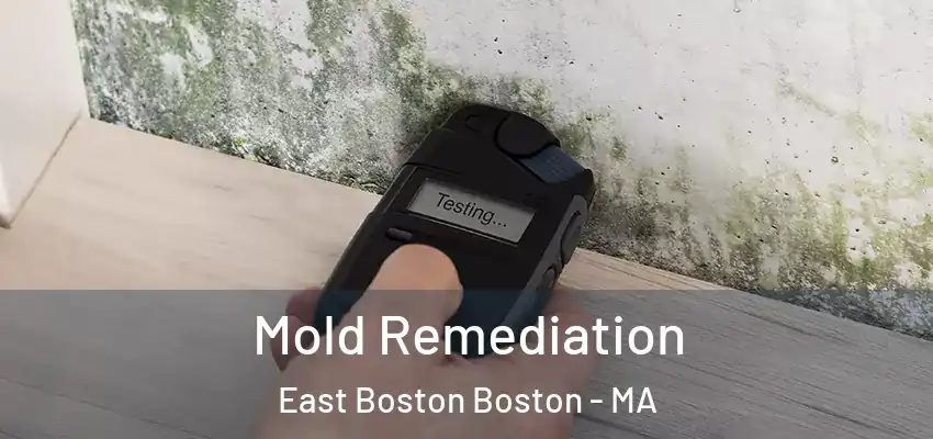 Mold Remediation East Boston Boston - MA
