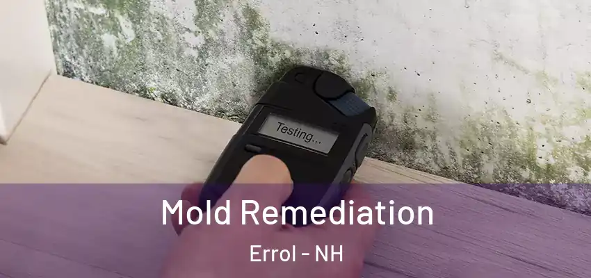 Mold Remediation Errol - NH