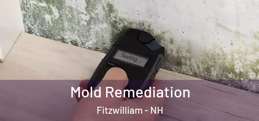  Mold Remediation Fitzwilliam - NH