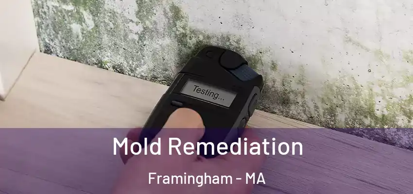 Mold Remediation Framingham - MA