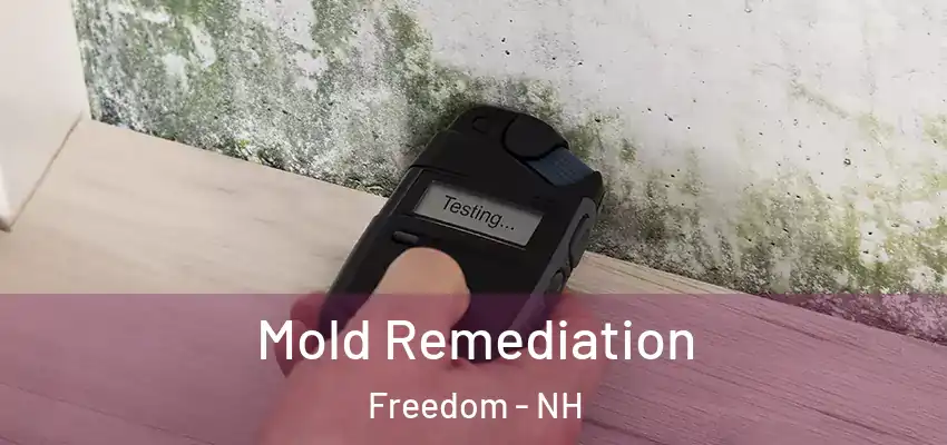 Mold Remediation Freedom - NH