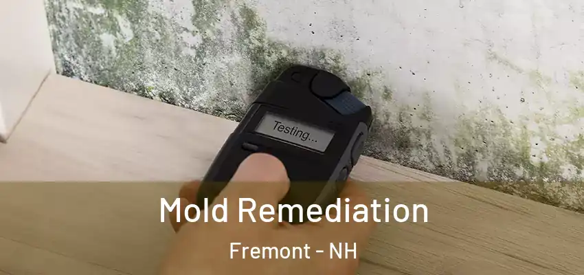  Mold Remediation Fremont - NH