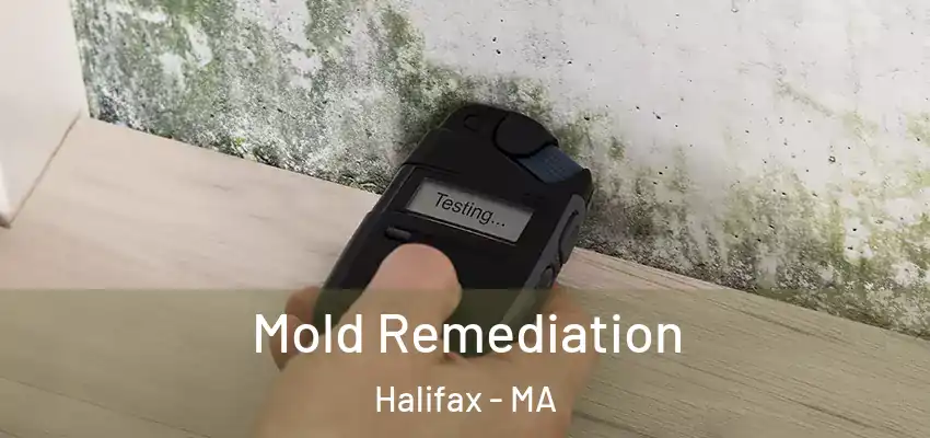 Mold Remediation Halifax - MA