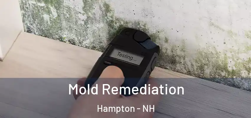 Mold Remediation Hampton - NH