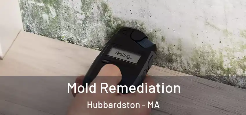  Mold Remediation Hubbardston - MA