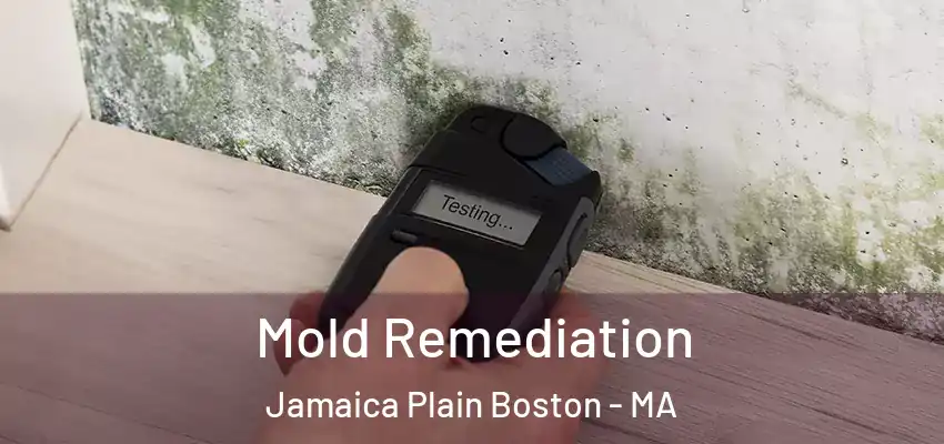  Mold Remediation Jamaica Plain Boston - MA
