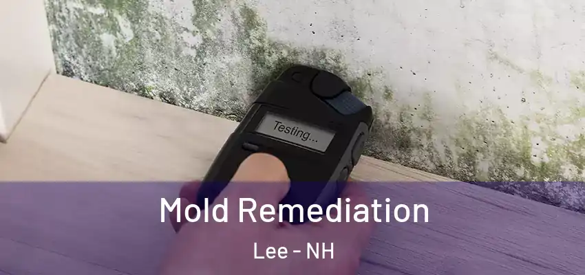 Mold Remediation Lee - NH