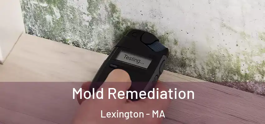 Mold Remediation Lexington - MA