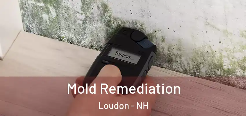 Mold Remediation Loudon - NH