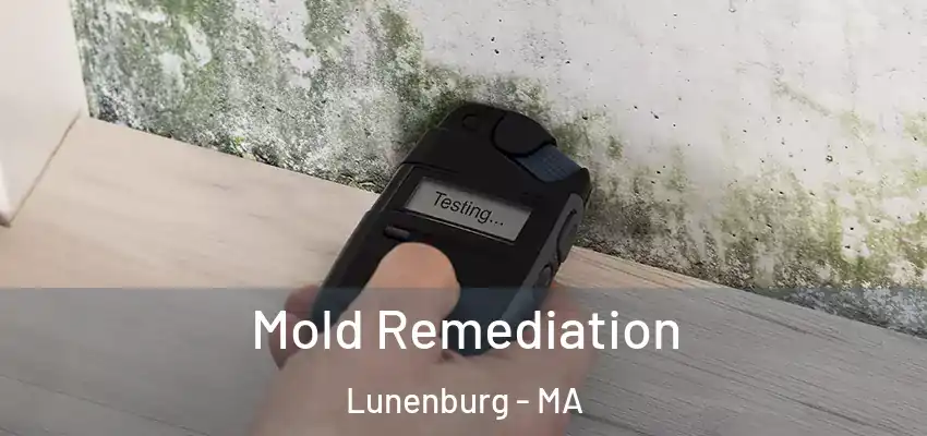 Mold Remediation Lunenburg - MA