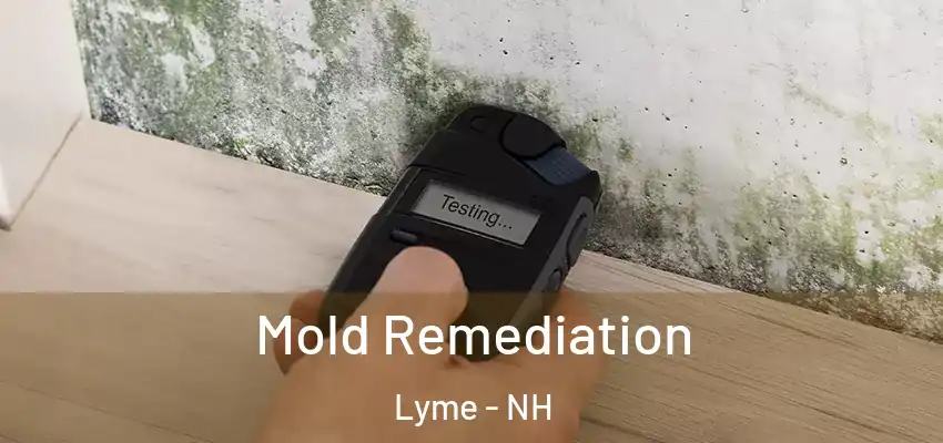 Mold Remediation Lyme - NH