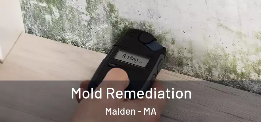 Mold Remediation Malden - MA