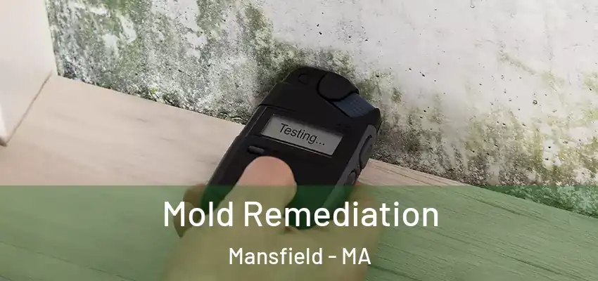 Mold Remediation Mansfield - MA