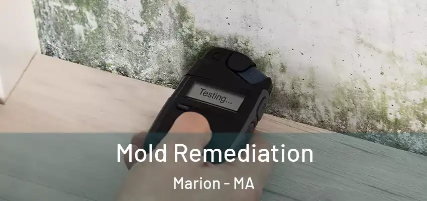 Mold Remediation Marion - MA