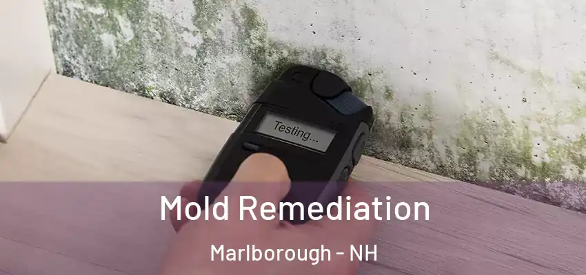  Mold Remediation Marlborough - NH
