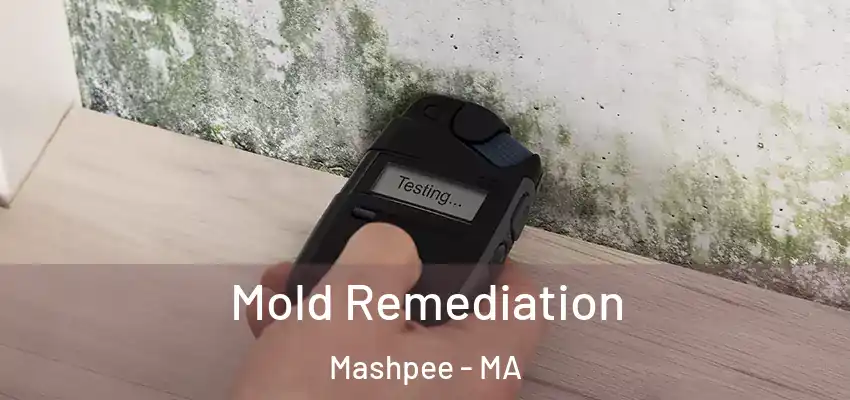 Mold Remediation Mashpee - MA
