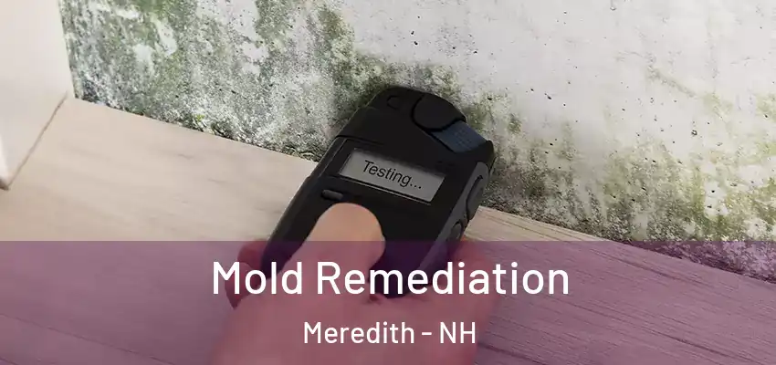 Mold Remediation Meredith - NH