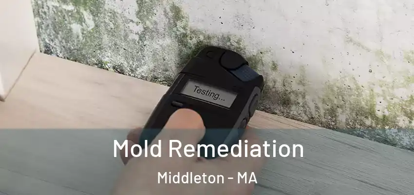 Mold Remediation Middleton - MA