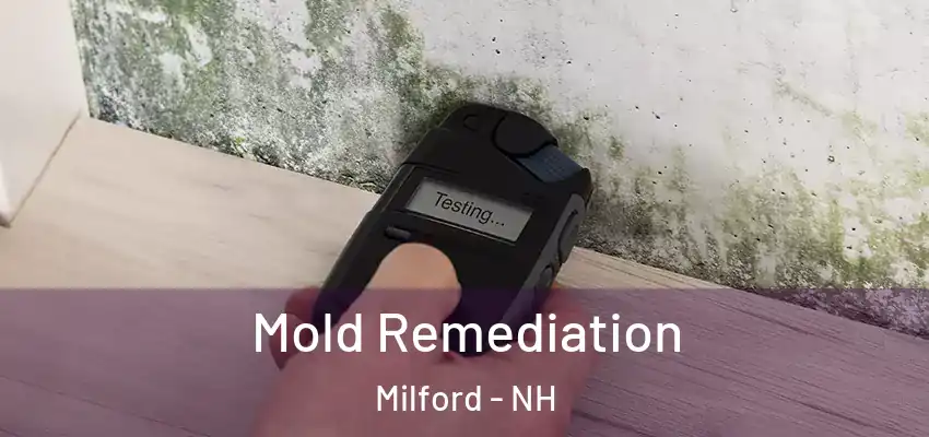  Mold Remediation Milford - NH