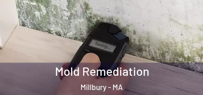  Mold Remediation Millbury - MA