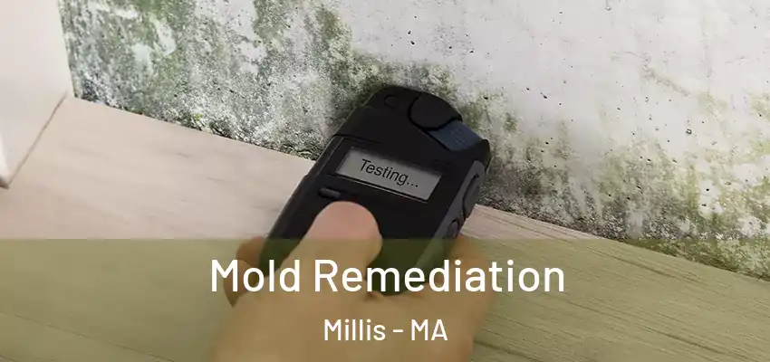 Mold Remediation Millis - MA