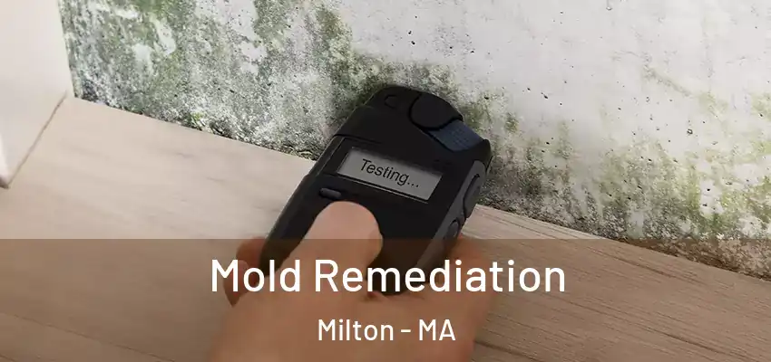 Mold Remediation Milton - MA