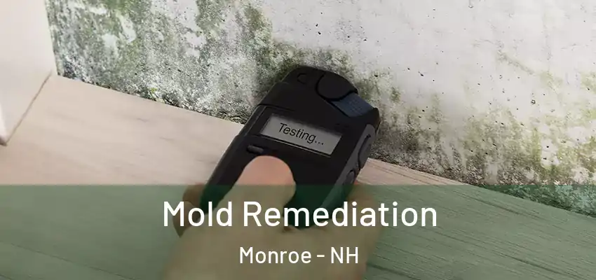 Mold Remediation Monroe - NH