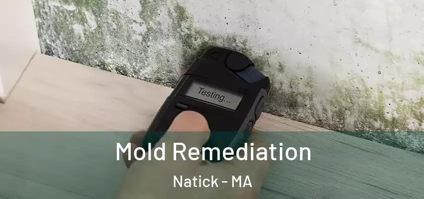 Mold Remediation Natick - MA