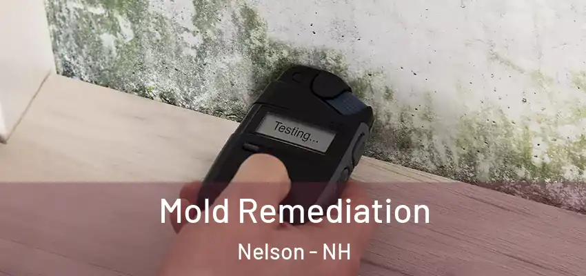 Mold Remediation Nelson - NH