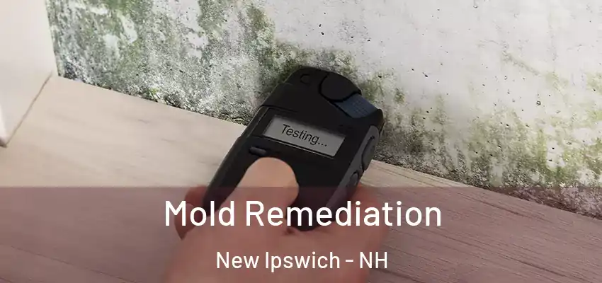 Mold Remediation New Ipswich - NH