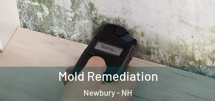 Mold Remediation Newbury - NH
