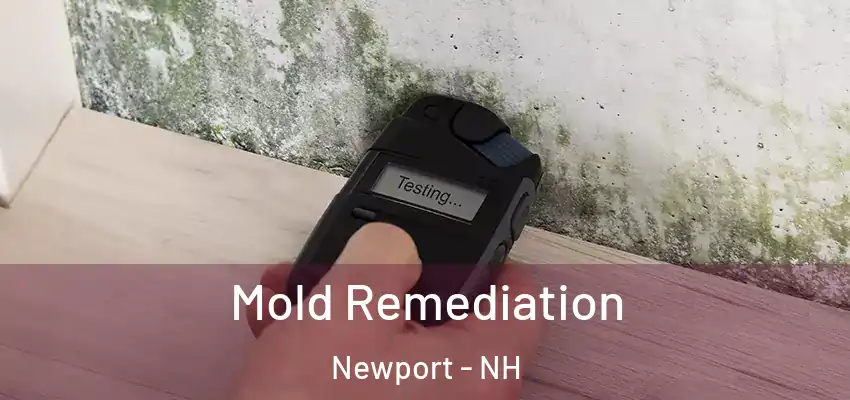  Mold Remediation Newport - NH