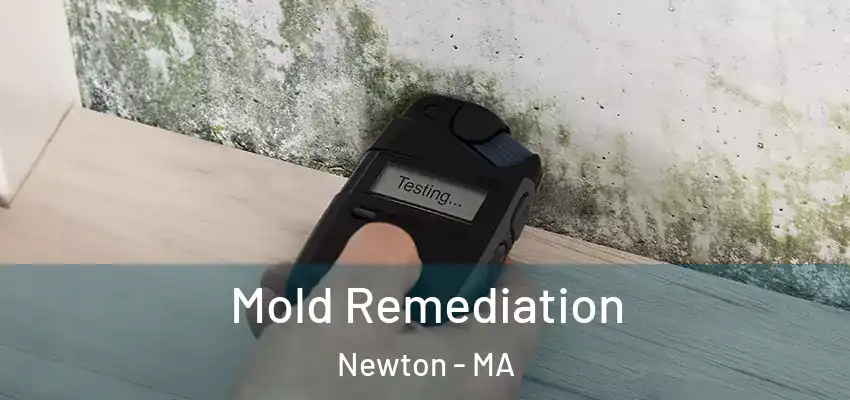 Mold Remediation Newton - MA