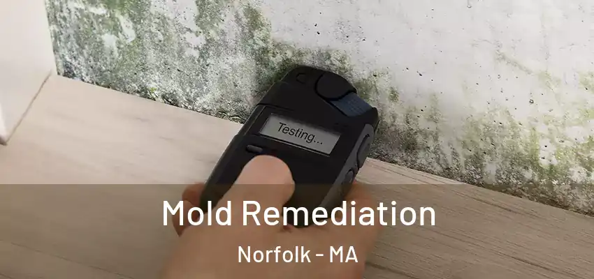  Mold Remediation Norfolk - MA