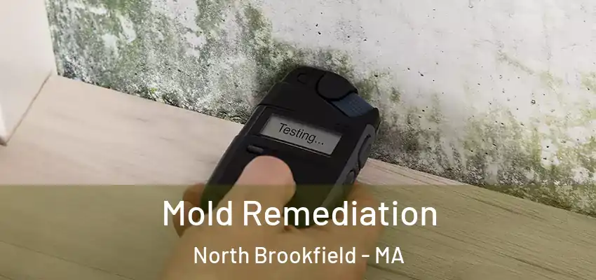 Mold Remediation North Brookfield - MA