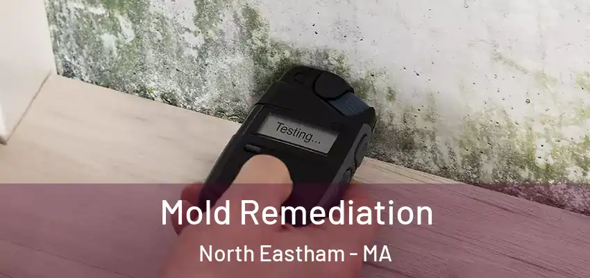  Mold Remediation North Eastham - MA