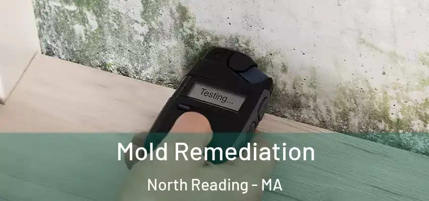 Mold Remediation North Reading - MA