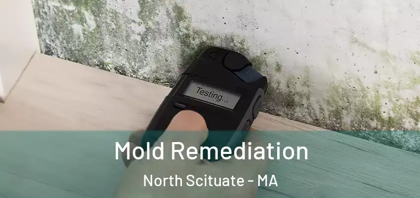  Mold Remediation North Scituate - MA