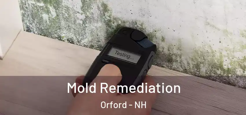 Mold Remediation Orford - NH