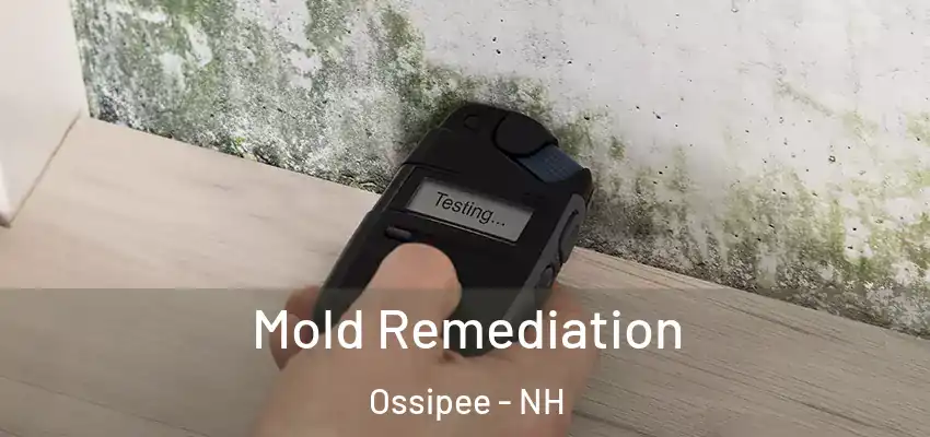 Mold Remediation Ossipee - NH