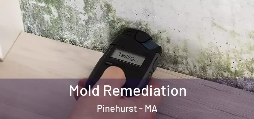Mold Remediation Pinehurst - MA
