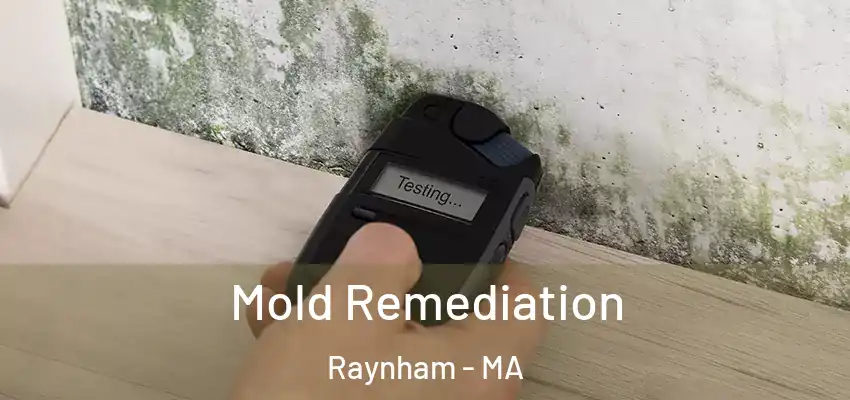 Mold Remediation Raynham - MA