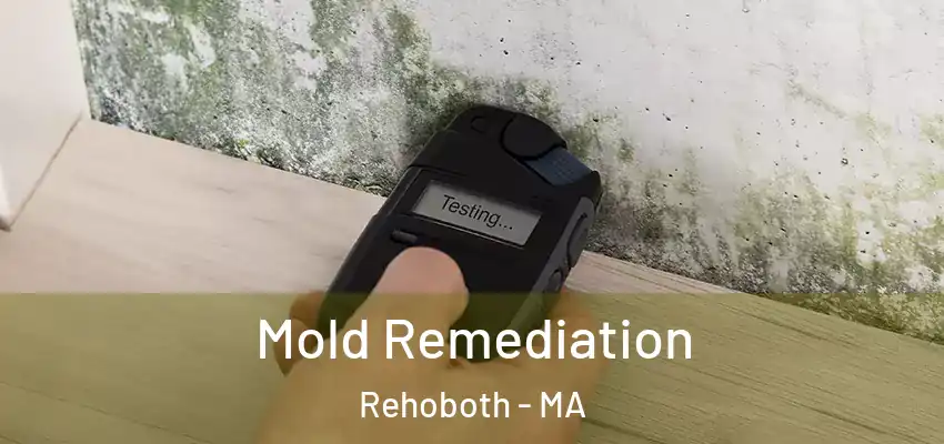 Mold Remediation Rehoboth - MA