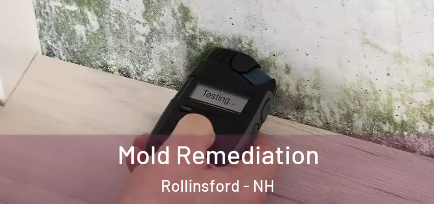 Mold Remediation Rollinsford - NH