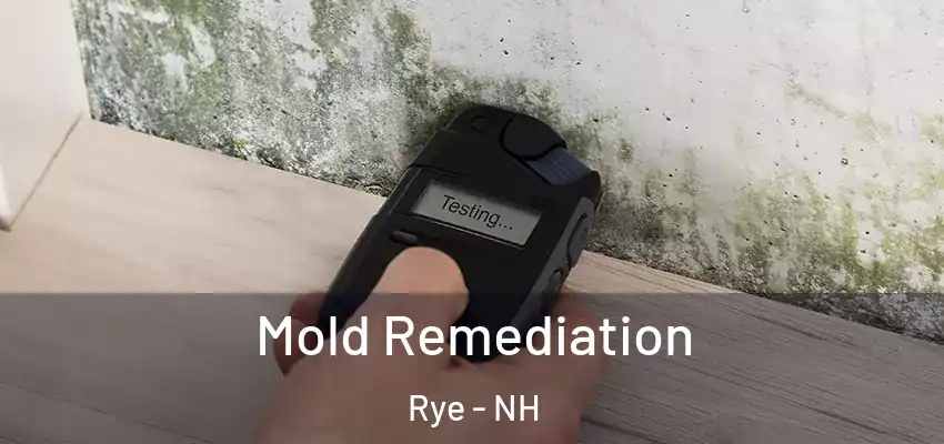Mold Remediation Rye - NH